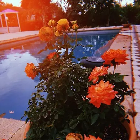 Conti Bed & Breakfast
